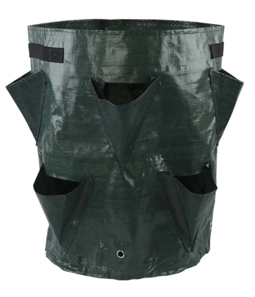 Strawberry planting bag with drainage holes for fruit bushes, green (1)