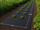 Biezs melns agroplēves segums pret nezālēm 50g/m² 1x20m