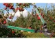 Shrub Pruning Shears, Garden Loppers, 70 cm, Green