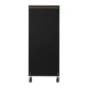 Gabbiano Solo Hairdressing Trolley, Black/Gold