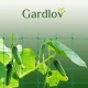 Gardlov 00023980 Plant Support Net 2x20m, Green