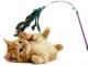 Interactive Cat Wand Toy with Feathers and Rattle Fishing Pole Teaser