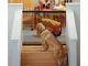 Portable Folding Safety Magic Gate Guard Mesh Fence Net for Pets Dog Puppy Cat
