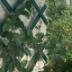TREPLAS Decorative Expandable Plastic Lattice Trellis 1 x 2 m, Green