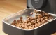 Automatinis augintinių šėryklas Oneisall PF05, 3L