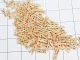 Mini Decorative Wooden Pegs, 2.5 cm, 100 pcs