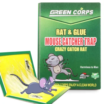 Glue Trap for Mice and Rats, 24 x 16.5 cm