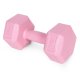 ModernHome Hex Dumbbell Set 2x2 kg Hand Weights for Fitness, Pink