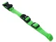 LED Glowing Collar for Dogs and Cats, Adjustable 36-59 cm, Green
