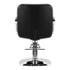 Hair System ZA31 Hairdressing Chair, Black