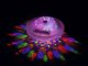 Bestway 58419 Floating LED Pool Light