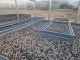 Raised Garden Bed Klasika Garden 1900x500x100mm, Zinc