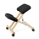 Ergonomic Kneeling Chair 4FIZJO PURE, Black