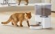 Rojeco Smart Automatic Pet Feeder WiFi 4.5L with App Control