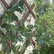 Expandable Plastic Trellis Grille TENAX TREPLAS, 1 x 2 m, Brown