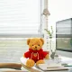 Plush Teddy Bear in Sweater 40cm
