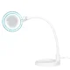 Elegante 2014-2R Cosmetic Magnifying Lamp with Desk Clip