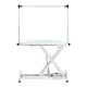 Electric Grooming Table P4W 3 with LED Backlight, White