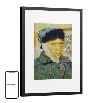 Digital photo frame SwitchBot AI Art Frame 13.3" W8402010, E Ink, Wi-Fi, Black
