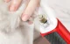 Electric Pet Nail Grinder Rojeco RMJQXF-05 2000mAh