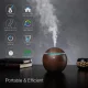 SPA-16 Electric Ultrasonic Air Humidifier / Diffuser / Aromatherapy, 130 ml