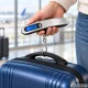 Electronic Luggage Scale with Hook and LCD Display up to 50 kg, Silver / Black