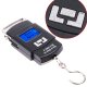 Digital Hanging Scale 50kg for Luggage, Fishing & Travel, Black