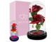 Eternal Rose in Glass Dome with LED RGB Light (Two Roses), Red