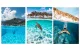 Telesin Dome Port Underwater Housing for GoPro Hero 13/12/11/10/9 (GP-DMP-T09)