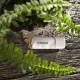 USB Flash Drive Intenso Green Line 64 GB USB 3.2 Gen 1 White