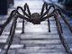 Giant Spider Tarantula Halloween Decoration XXL, Black