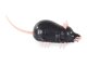 Vibrating Electric Mouse Interactive Cat Toy