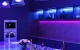 Smart Wi-Fi LED Strip Meross MSL320 2x5m RGB HomeKit