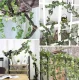 Gardlov Artificial Ivy Garland, 12.6m, Green