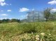 Greenhouse Baltic Lt 3X12M With 6Mm Polycarbonate; 4779037491476