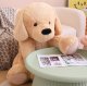 Large Plush Hugging Toy Dog, 60cm