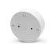 Motion Sensor LED Night Light Forever Light FLC-01 PIR 3xAAA Battery Operated, white