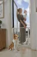 Ecotoys Safety Gate for Stairs and Doors, 74-105 cm, White
