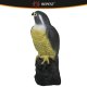 Repest Bird Repeller - Falcon, 40 cm