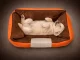 Pet Bed for Dogs and Cats, Non-Slip Base, Orange, Size S