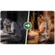 Ergonomic Office Chair Sofotel Nicea with Mesh Backrest