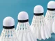 Badminton Feather Shuttlecocks 3-Pack Durable Training Set, White