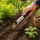 Garden Scoop for Seeds and Fertilizer, 22.5 cm