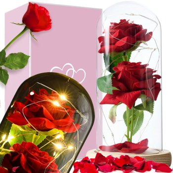 Forever Rose in Glass Dome with LED Lights, Red