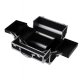 Professional Makeup Train Case with 4 Trays, Black and Silver