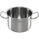 Fissler Original-Profi Collection 2 Cooking Pot with Lid 20 cm 4 L