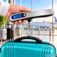 Electronic Luggage Scale with Hook and LCD Display up to 50 kg, Silver / Black