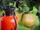 Garden Manual Pressure Sprayer with Long Lance, 5L, Orange