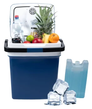 Longwell Industrial Ltd Portable Car Refrigerator 29L, 220-240V/12V, Blue