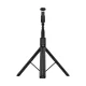 Acefast E31 Selfie Stick and Tripod with Bluetooth Remote 1.77 m, Black